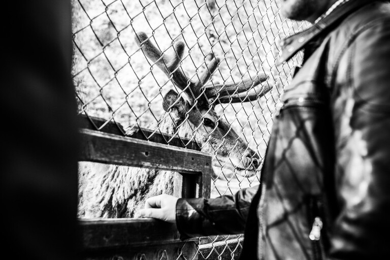 Corinna und Swen 0154