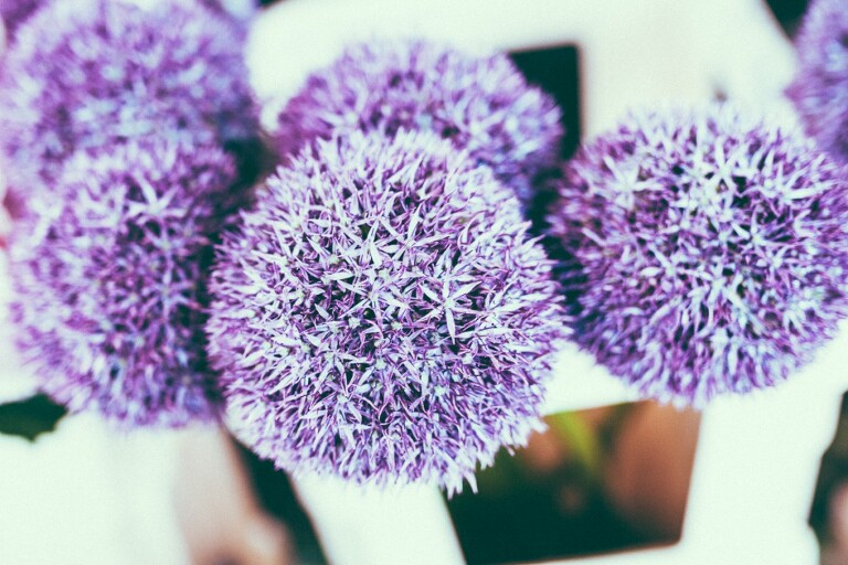 Sabine und Andre 0167