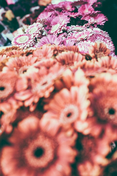 Sabine und Andre 0168