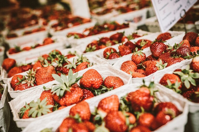 Sabine und Andre 0179